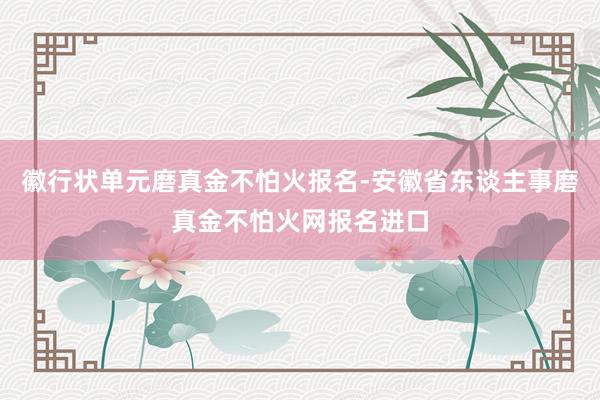 徽行状单元磨真金不怕火报名-安徽省东谈主事磨真金不怕火网报名进口