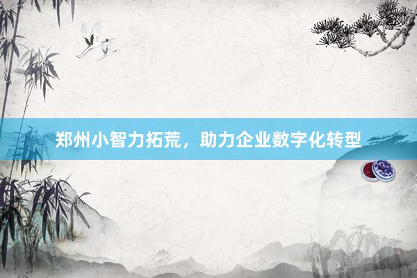 郑州小智力拓荒，助力企业数字化转型