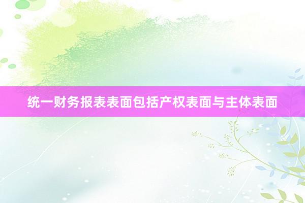 统一财务报表表面包括产权表面与主体表面
