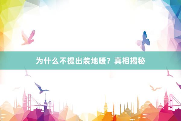 为什么不提出装地暖？真相揭秘