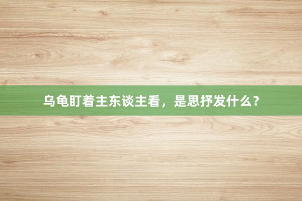 乌龟盯着主东谈主看，是思抒发什么？